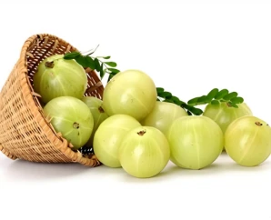 product-298-242 product-298-242